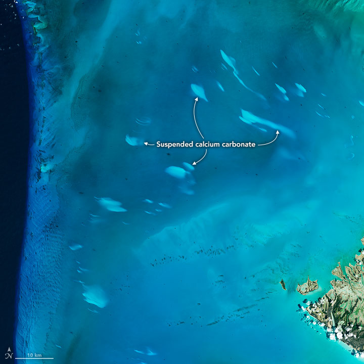 Inusuales manchas blancas flotan cerca de lasInusuales manchas blancas flotan cerca de las Bahamas Bahamas